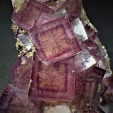 Fluorite
143 mm x 87 mm
(Autor: Don Lum)