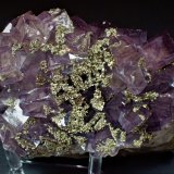 Fluorite, Pyrite
143 mm x 87 mm
(Autor: Don Lum)