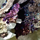 Calcite, Chalcopyrite
291 mm x 160 mm
(Autor: Don Lum)