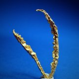 Gold
35 mm x 24 mm x 3 mm
(Autor: Don Lum)