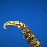 Gold
35 mm x 24 mm x 3 mm
(Autor: Don Lum)