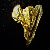 Gold
13 mm x 10 mm
(Autor: Don Lum)