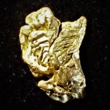 Gold
20 mm x 12 mm
(Autor: Don Lum)