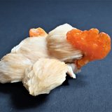Wulfenite, Baryte
53 mm x 35 mm x 21 mm
(Autor: Don Lum)