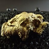 Native Gold
23 mm x 13 mm
(Autor: Don Lum)