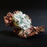 Silver, Copper (variety half-breed)
40 mm x 34 mm
(Autor: Don Lum)