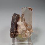 Topaz, Muscovite, Albite
52 mm x 40 mm x 37 mm
(Autor: Don Lum)