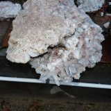 Quartz
(Autor: Pierre Joubert)