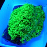 Autunite
10 x 5 x 5 cm
(Autor: Benj)