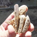 Quartz
Fingers for size
(Autor: Pierre Joubert)
