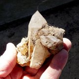 Fingers for size
(Autor: Pierre Joubert)