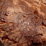 Copper
77mm x 73mm x 12mm
(Autor: Don Lum)