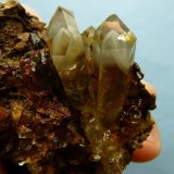 Quartz on Goethite
Longest crystal 30 mm
(Autor: Pierre Joubert)