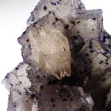 Fluorite, Calcite, Sphalerite, Pyrite, Dolomite
90 mm x 90 mmx 55 mm
(Autor: Don Lum)