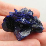 Azurite
4 x 3.2 x 2.6 cm
(Autor: Benj)