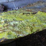 Autunite
40 x 15 cm
(Autor: Benj)