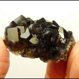 Fluorite
50 x 27 x 17 mm
(Autor: Pierre Joubert)