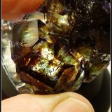 Fluorite
50 x 27 x 17 mm
(Autor: Pierre Joubert)