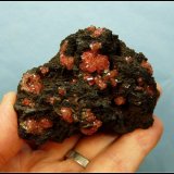 Rhodocrosite
80 x 65 x 45 mm
(Autor: Pierre Joubert)