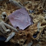 Fluorite, Genthelvite
18 cm x 13.2 cm x 10.3 cm
(Autor: Don Lum)