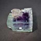 Fluorite, Quartz
35 x 33 mm
(Autor: Don Lum)