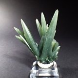 Quartz (variety prase)
77 mm x 65 mm x 24 mm
(Autor: Don Lum)