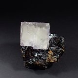 Fluorite, Sphalerite
86 mm x 80 mm
(Autor: Don Lum)