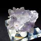 Fluorite, Sphalerite
36 mm x 32 mm
(Autor: Don Lum)