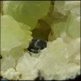 Pumpellyite, Prehnite; Quartz; Calcite
FOV +- 4 cm
(Autor: Pierre Joubert)