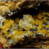 Boltwoodite and Calcite
66 x 45 x 23 mm
(Autor: Pierre Joubert)
