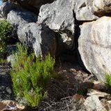 (Autor: Pierre Joubert)