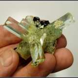 Beryl (variety aquamarine) with schorl
60 x 50 x 47 mm
(Autor: Pierre Joubert)