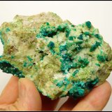 Dioptase and calcite
91 x 63 x 36 mm
(Autor: Pierre Joubert)