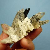 Foitite (Tourmaline Group) in and on Quartz and feldspar
82 x 49 x 38 mm
(Autor: Pierre Joubert)