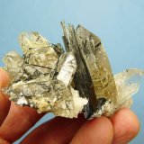 Foitite (Tourmaline Group) in and on Quartz and feldspar
82 x 49 x 38 mm
(Autor: Pierre Joubert)