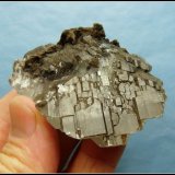 Calcite
63 x 57 x 27 mm
(Autor: Pierre Joubert)