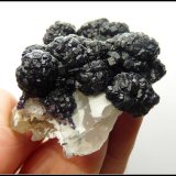 Fluorite and quartz
73 x 55 x 34 mm
(Autor: Pierre Joubert)
