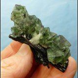 Fluorite with Schorl
68 x 32 x 28 mm
(Autor: Pierre Joubert)