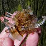 Quartz
61 x 48 x 27 mm
(Autor: Pierre Joubert)