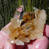 Quartz
66 x 42 x 36 mm
(Autor: Pierre Joubert)