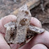 Quartz
Hand for size
(Autor: Pierre Joubert)