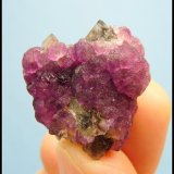 Fluorite on Quartz
24 x 22 x 13 mm
(Autor: Pierre Joubert)