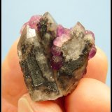Fluorite on Quartz
24 x 22 x 13 mm
(Autor: Pierre Joubert)