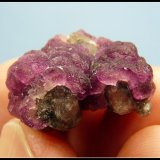 Fluorite on Quartz
24 x 22 x 13 mm
(Autor: Pierre Joubert)