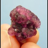 Fluorite and quartz
24 x 17 x 14 mm
(Autor: Pierre Joubert)
