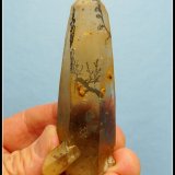 Quartz (variety smoky quartz) with schorl
81 x 25 x 25 mm
(Autor: Pierre Joubert)