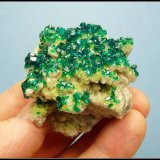 Dioptase on calcite.
52 x 47 x 30 mm
(Autor: Pierre Joubert)