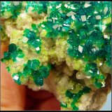 Dioptase on calcite.
52 x 47 x 30 mm
(Autor: Pierre Joubert)
