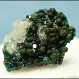 Calcite, Mottramite, Dioptase
30 x 22 x 10 mm
(Autor: Pierre Joubert)