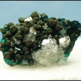 Calcite, Mottramite, Dioptase
30 x 22 x 10 mm
(Autor: Pierre Joubert)